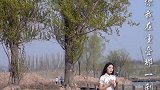 旗袍小姐姐演唱老歌《人生何处不相逢》，让人一秒沦陷，好听极了