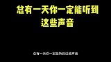 总有一天你能听到豪车的这些声音