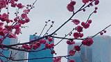 长长的路慢慢的走，再难也要走