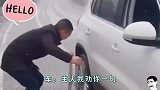 爆笑, 来嘛, 互相伤害