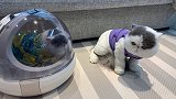 老舅你出来咱们谈一谈啊