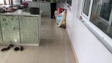 农民王小：啃大骨头老妈吹牛回忆风火年轻时候，老爸就顾着吃
