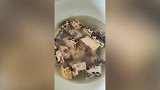 女子在家做霉豆腐长黑毛网友炸锅提醒，女子：已经吃了几十年了