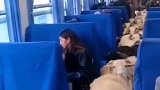 动物世界扶贫慢火车