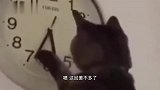 猩猩：现在娶个媳妇儿容易吗，还得给她洗衣服，惯死她了