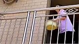就时间单元来说，这水恐怕是从1000层楼上泼下来的也不为过！