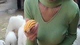 哥我想约你来我家吃个饭