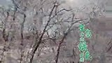 #两极穿越龙江行｜呼玛有个暖泉子不冻河！-30℃不结冰，两岸挂满雾凇，“雾气飘飘 银装素裹 宛如仙境”#喜迎亚冬会歌声里的黑龙江#守好龙江生态价值品牌