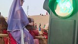 骆驼也知道红灯停绿灯行