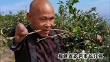 一断臂退伍老兵，坚持上山“啃树枝治理家乡的水土流失