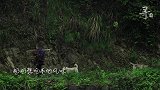 「寻」伍阿哥做给阿婆的一道菜