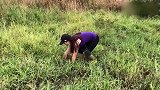 妹子在废弃田里面捕鱼，一次一网兜