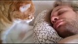 汪星人喵星人叫主人起床，小猫温柔的做法，主人突然笑了