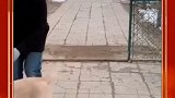 一个比一个傻啊