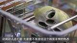 首颗人造心脏诞生，像真的一样工作，将来能拯救无数生命！