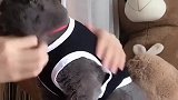 猫：这么热的天，非要给我穿衣服！