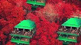 愿你踏遍山河，仍觉人间值得。眼里是阳光，笑里是坦荡。