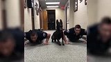 综合-17年-准备活动很重要！小警犬和同事们一起俯卧撑准备去抓大坏蛋-专题