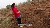 旺财帮忙来撵鸡，胖妹来做大盘鸡，大洋笑嘻嘻，大口吃肉好爽哦