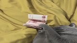 这只猫咪太贪财了，不给钱就不让摸，给钱怎么摸都行，真逗！