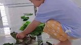 等娃长大了给她看，她应该会怀疑人生吧！