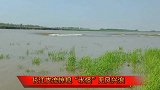 无风兴浪，湖北长江支流惊现“水怪”，估计只有老渔民才知道真相