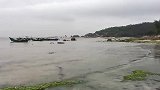 闲牛带高州网友一起去赶海，收获了好多靓海货，大家玩得好开心