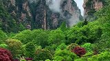 美的像画一样的地方