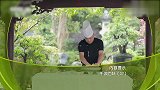 开水白菜可不是开水泡白菜，清澈的汤底，不是大厨根本熬不出来！
