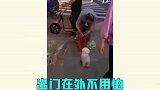 当老人开始带宠物，果然画风开始变得清奇