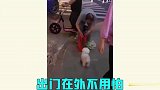 当老人开始带宠物，果然画风开始变得清奇