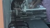 二哈：铲屎的快来救我，有人要炖了我！