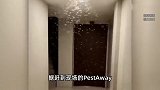 白蚁瞬间爆发！上海市民崩渍：密密麻麻、蠕蠕爬行、吊顶成蚁穴！