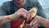 船长吃生蚝，肉少的坑人