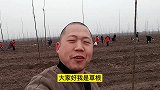 植树节去种树，同事们都在学我的开场白，干活也欢乐