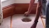 你绝对想不到，下面藏着什么