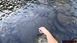 山里野河下一晚上的钩，第二天收获太爽了！
