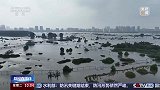 今年主汛期防汛形势复杂严峻 雨水情呈现降雨总量大 暴雨强度大等特点