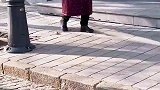 东北大妈出门溜乌龟惊呆路人