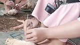 这到底是在小鸡身上挖什么