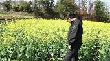 美女问小伙要老婆不，却要先给红包，结局太逗了