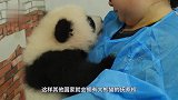 纽约公园出现一只“中国鸟”，引得全城围观，老外直呼太美了！
