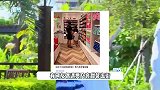 贾乃亮带甜馨逛街，父女久违同框好温馨，李小璐却始终不见身影