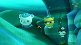 海底小纵队：大王乌贼很喜欢鱼饼干的味道