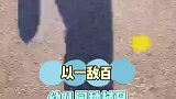 以一敌百！幼儿园种植日 家长自带锄头秒杀全场