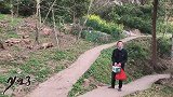 吃完火锅串串转移阵地，三兄弟跑去大山里砍柴，呼吸新鲜空气