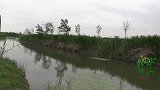 连续阴雨降温后首次晴天，小伙野钓小河沟，最终鱼获是亮点