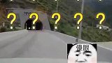 遇到逆行的你会怎么处理