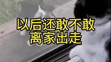 像不像闹脾气的小情侣