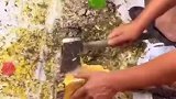 大爷街头售卖野蜂蜜，供不应求称要到明年才有，网友：为什么蜂蜜是这样的